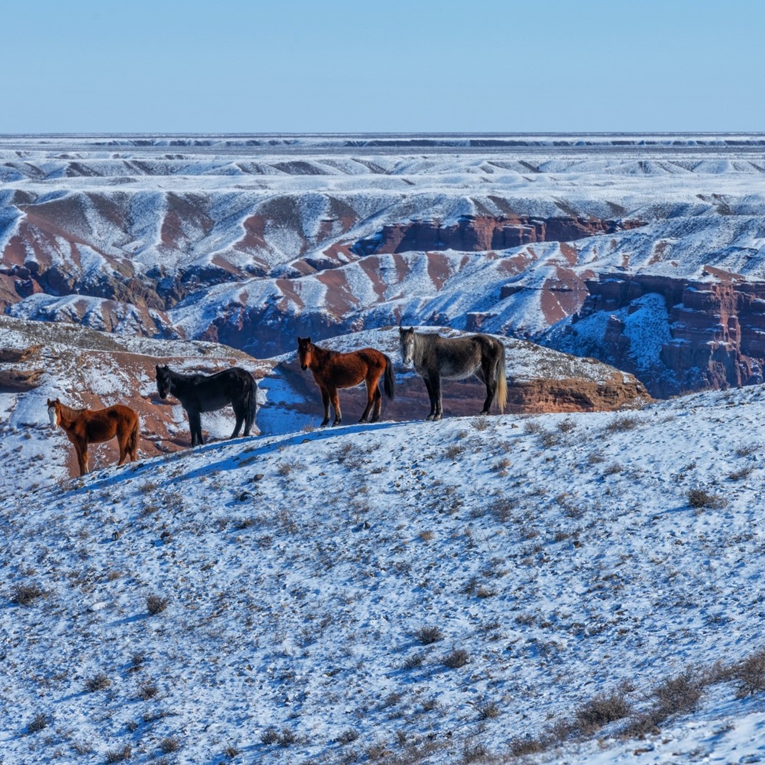 research_trip_to_kazakhstan