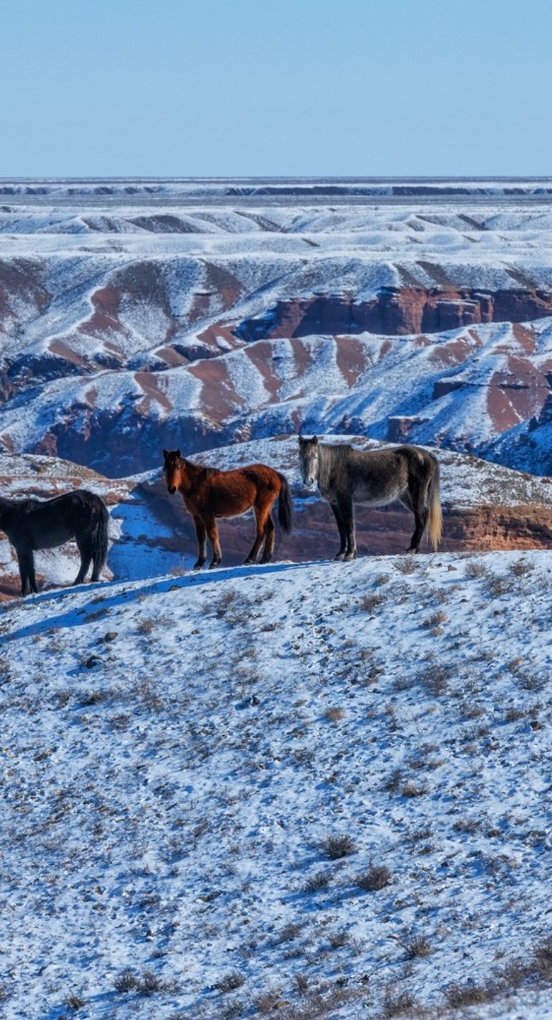 research_trip_to_kazakhstan