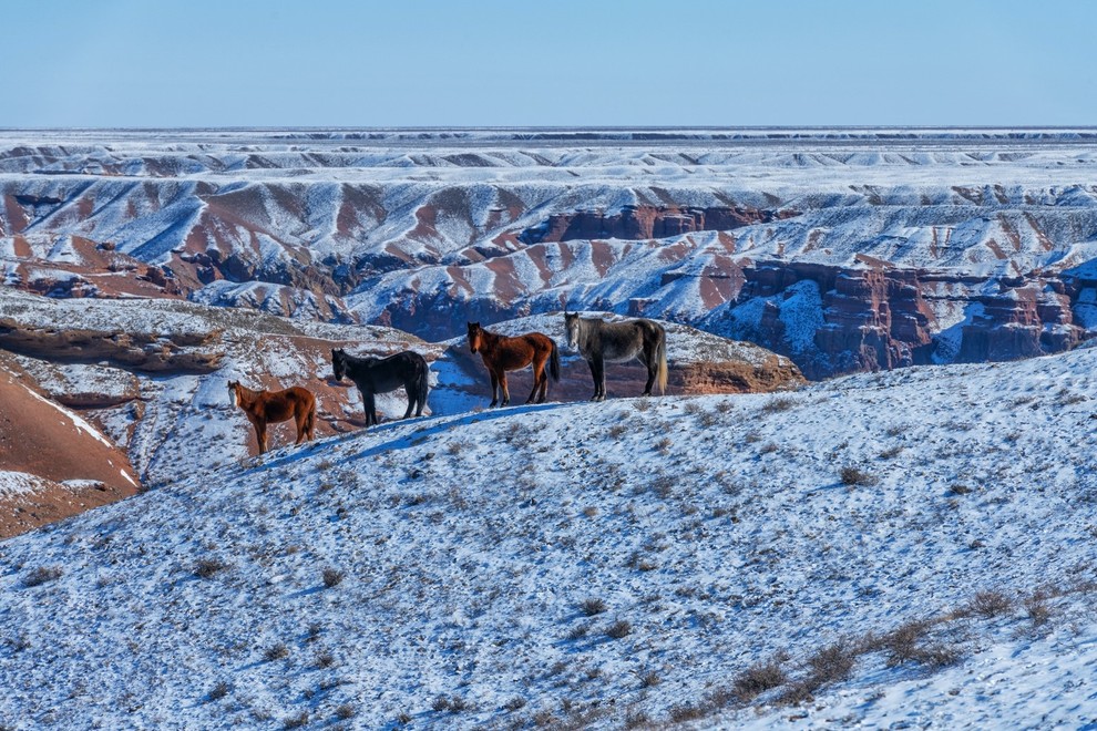 research_trip_to_kazakhstan